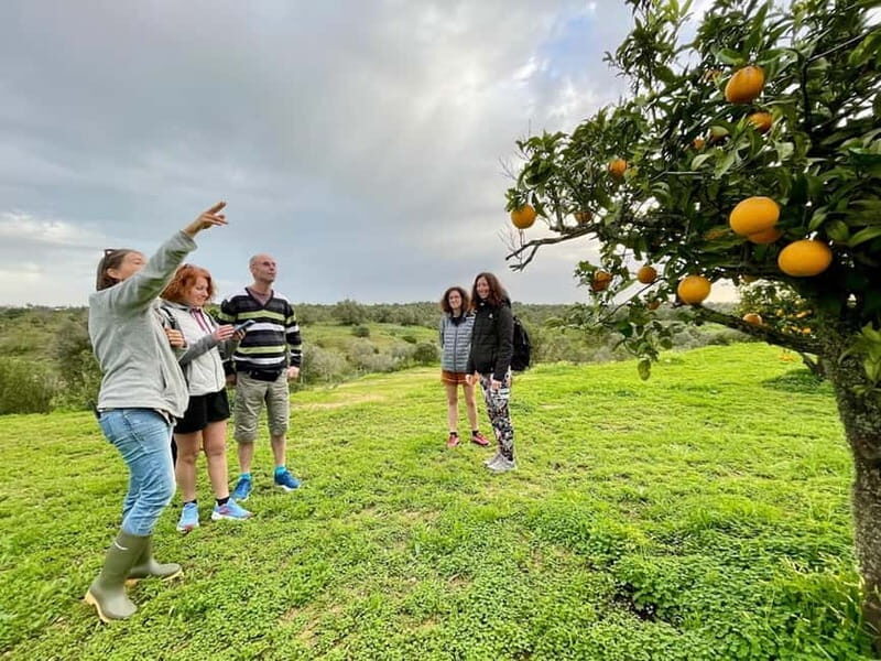 Olhao: Visit to an orange grove, and Silves, orange capital - What Makes This Tour Stand Out?