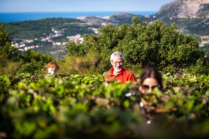 olive-farm-village-2