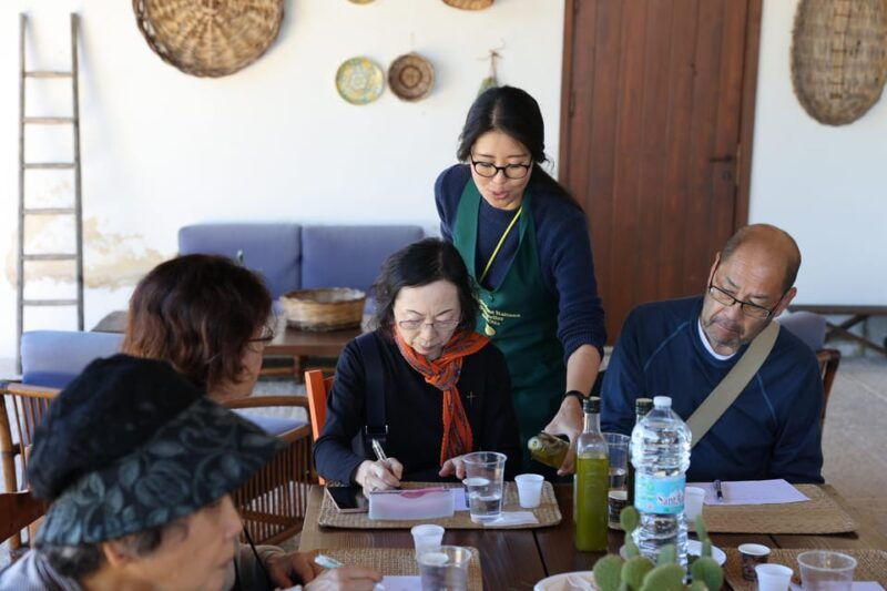 olive-grove-walking-puglian-food-and-olive-oil-pairing-tour