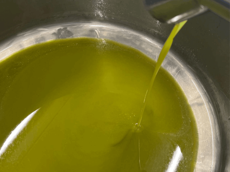 olive-mill-tour-and-tasting-in-the-padua-hills