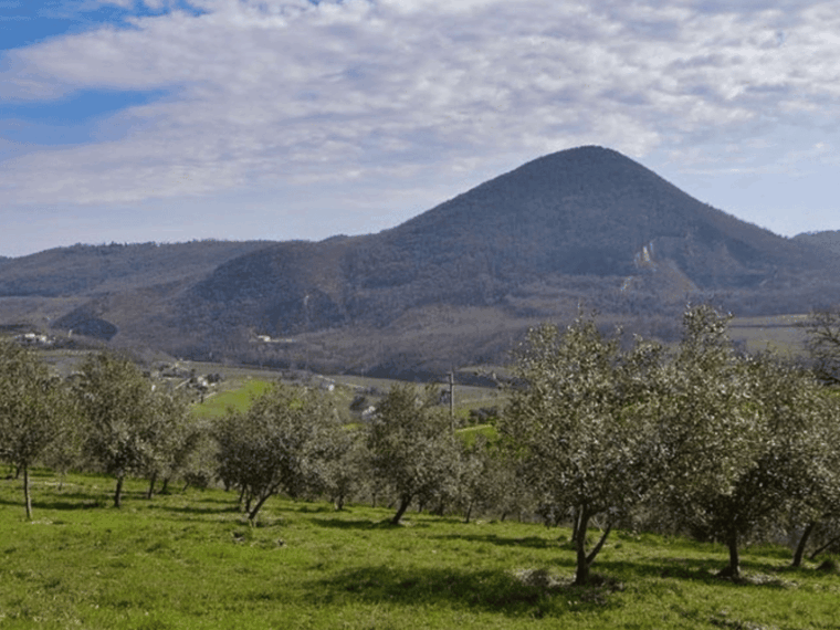 olive-mill-tour-and-tasting-in-the-padua-hills