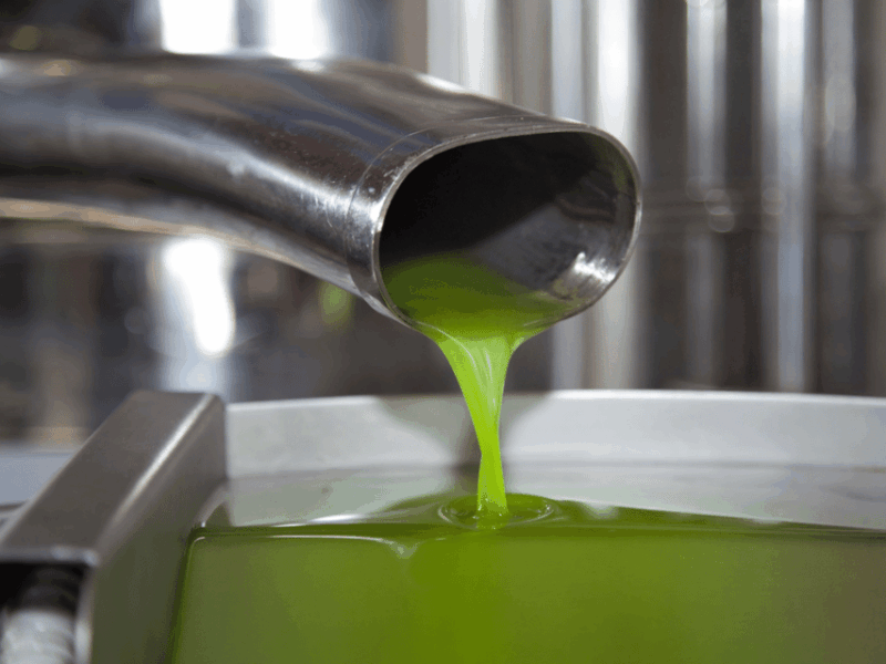 olive-mill-tour-and-tasting-in-the-verona-countryside