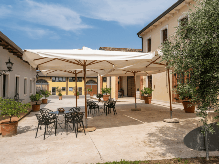 olive-mill-tour-and-tasting-in-the-verona-countryside