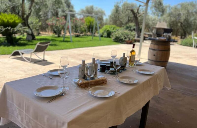 Olive Mill Tour with Olive Oil Tasting in Sassari - What to Expect from the Olive Mill Tour