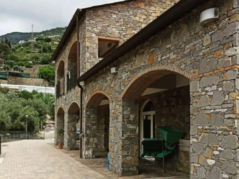 Olive Mill Visit & Guided Tasting in Taggia - Exploring the Olive Mill: A Walk Through History and Technique