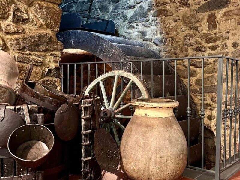 Olive Mill Visit & Guided Tasting in Taggia - Guided Shopping Experience: Bring Home a Taste of Liguria
