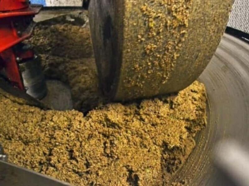 Olive Mill Visit & Guided Tasting in Taggia - Practical Details and Tips
