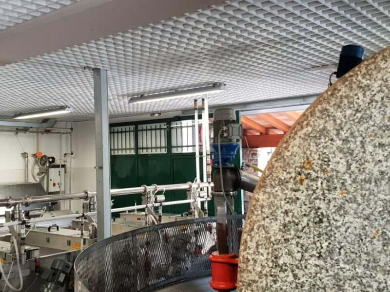 Olive Mill Visit & Guided Tasting in Taggia - Authenticity and Personal Touches
