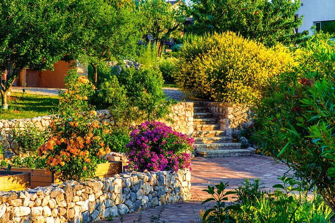 olive-museum-klis-with-educational-olive-oil-tasting