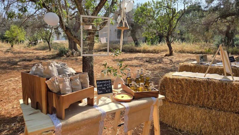 Olive Oil and almond Tour and Tasting: Brindisi, Ostuni - Introduction