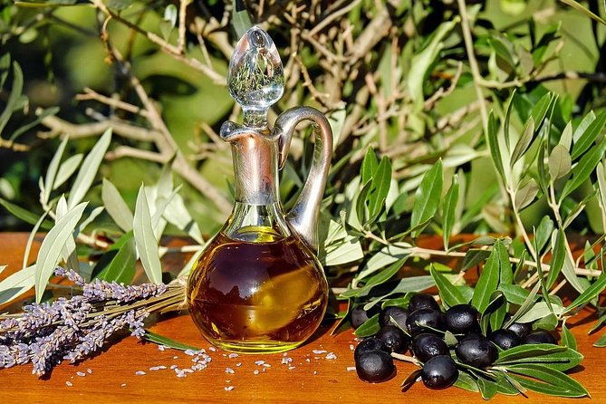 olive-oil-and-navarre-winery-visit-with-tastings-and-lunch-in-small-group-tour