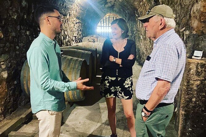 olive-oil-and-winery-tour-from-zaragoza-city