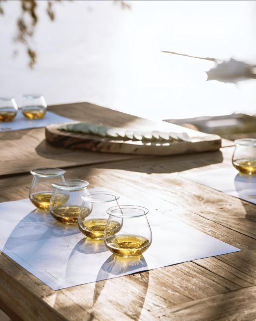 olive-oil-cheese-and-wine-tasting-with-local-expert-3
