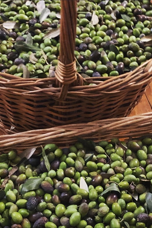 olive-oil-cheese-and-wine-tasting-with-local-expert-3
