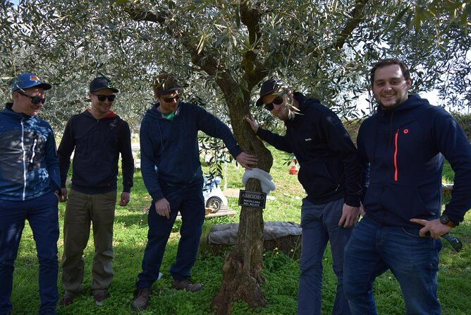 Olive Oil Experience - Who Will Love This Tour?