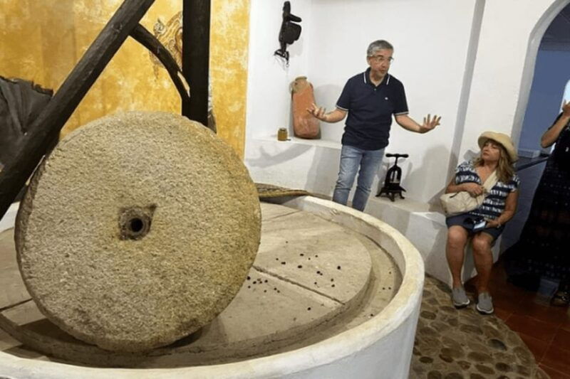 olive-oil-factory-from-sevilla-private-tour