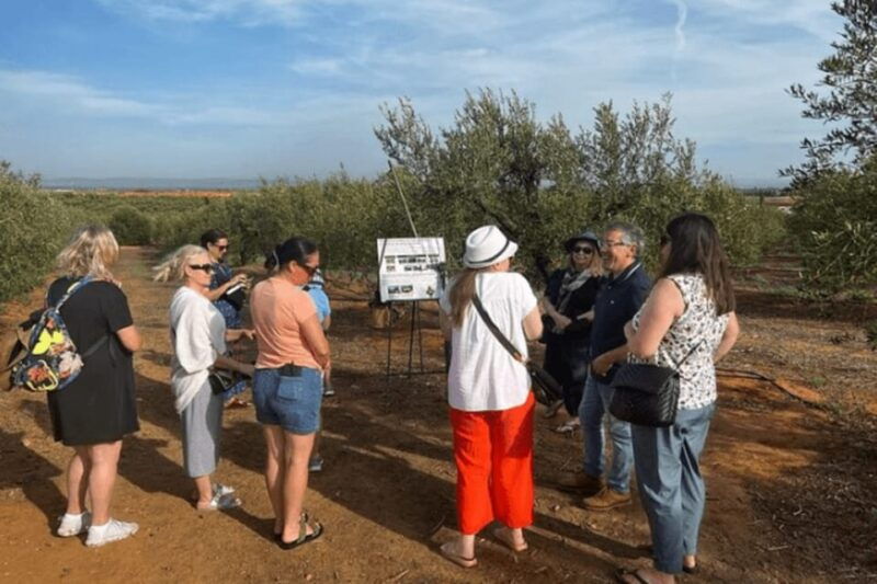 olive-oil-factory-from-sevilla-private-tour