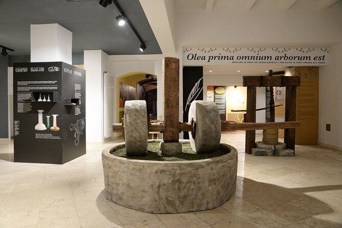 olive-oil-guided-tasting-and-history-in-pula