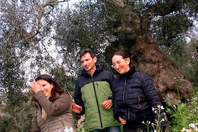 olive-oil-mill-experience-and-tasting-in-salento-with-guide-2