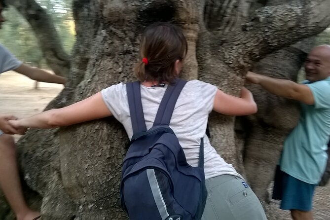 olive-oil-mill-experience-and-tasting-in-salento-with-guide
