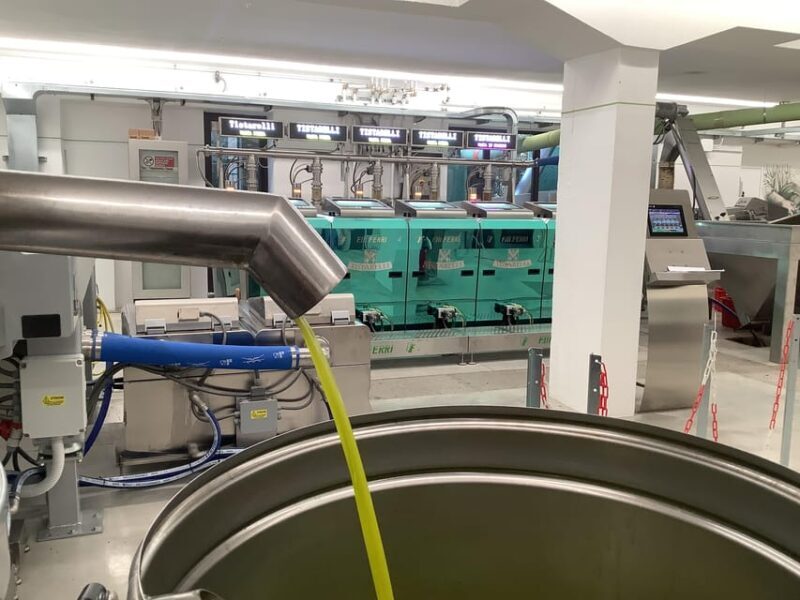 Olive Oil Mill Tour & EVO Oils Tasting - Sarteano, Tuscany - Authenticity and Personal Touches