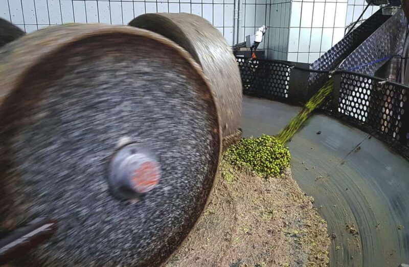 Olive Oil Mill Tour with Tasting and Gift near Bari - FAQ
