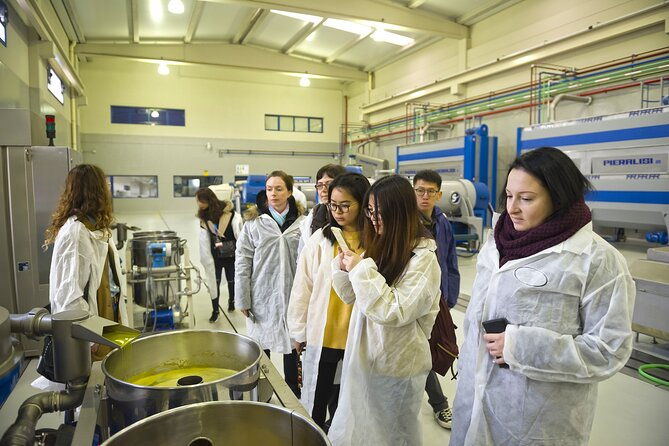 olive-oil-mill-visit-with-extra-virgin-olive-oil-tasting-in-jaen