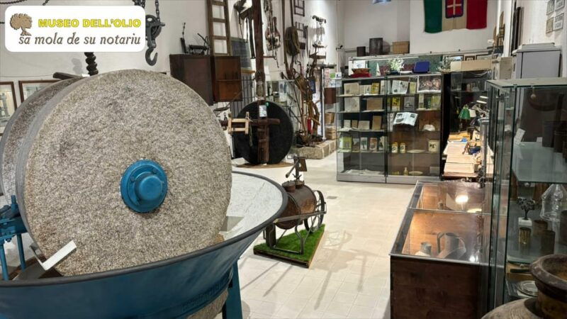 olive-oil-museum-extravirgin-lesson-food-wine-tasting