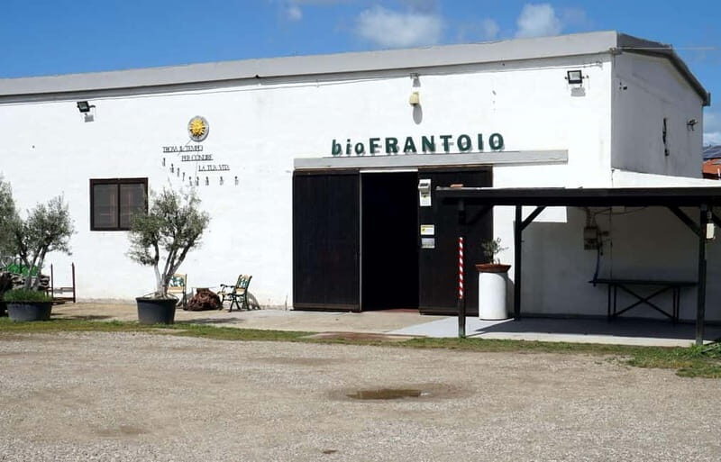 Olive Oil Museum: Extravirgin school - Food & wine tasting - The Itinerary in Detail