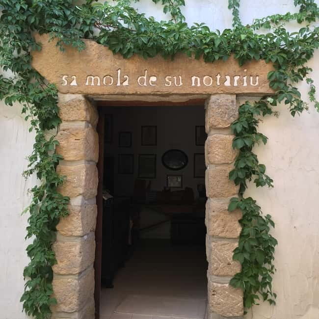 Olive Oil Museum: Extravirgin school - Food & wine tasting - FAQ