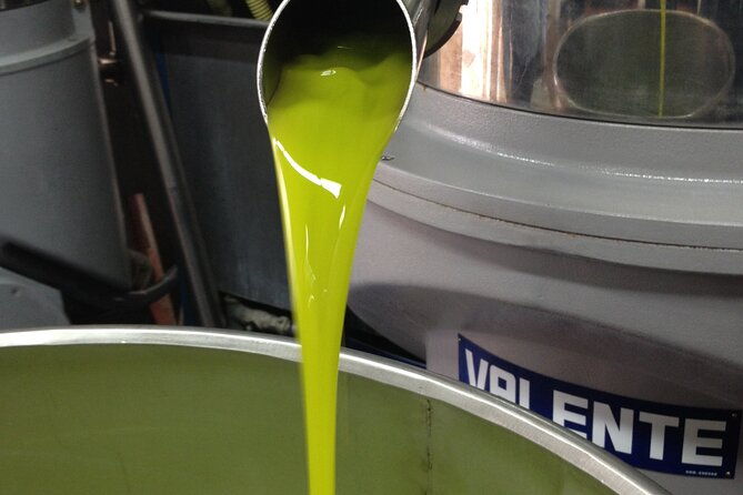 olive-oil-private-full-day-tour-with-tasting-in-valencia