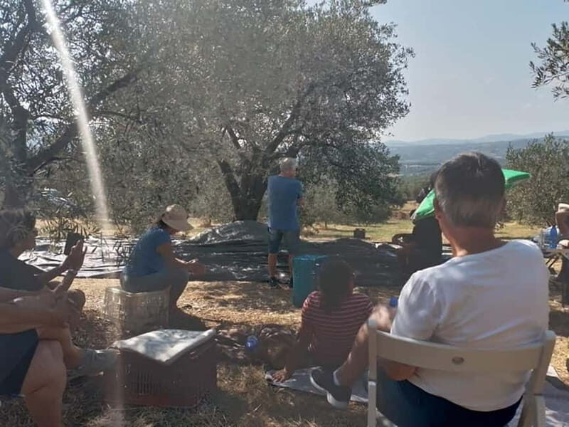 Olive Oil Seminar with Tasting in Metaggitsi - Halkidiki. - FAQs