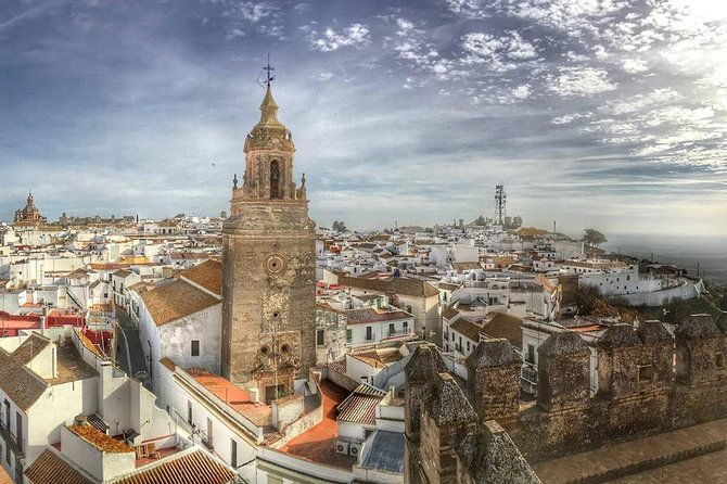 olive-oil-tasting-and-culinary-day-trip-in-carmona