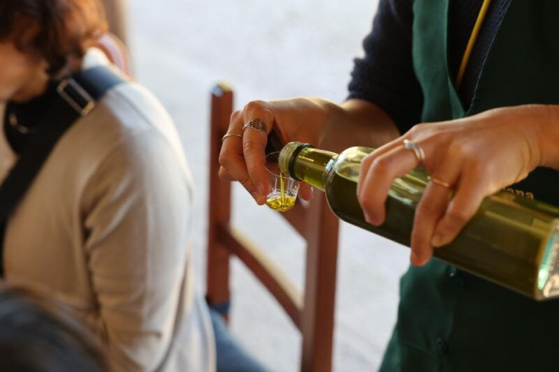 olive-oil-tasting-and-olive-grove-walking-tour