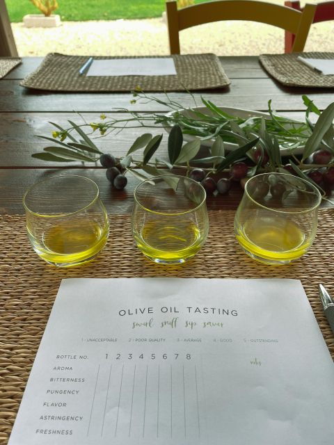 olive-oil-tasting-and-olive-grove-walking-tour