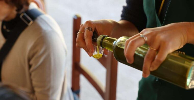 olive-oil-tasting-and-olive-grove-walking-tour