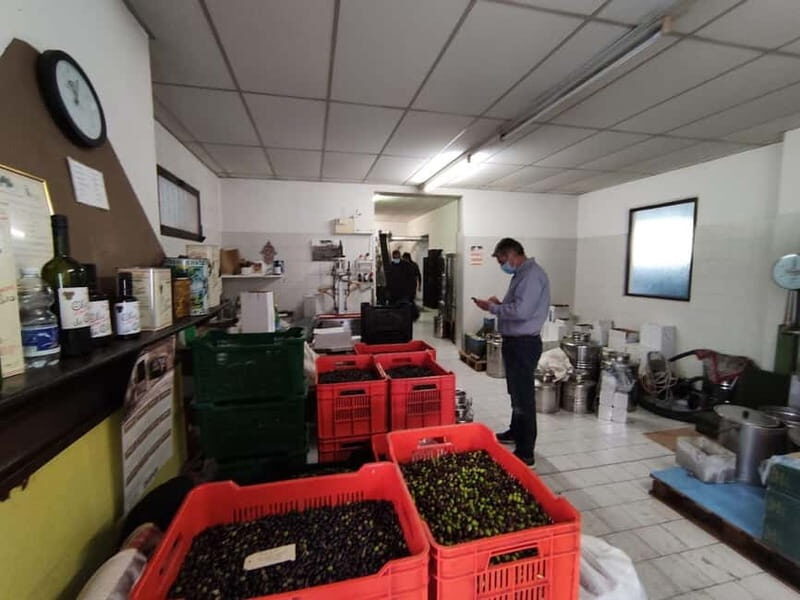 Olive Oil Tasting and Visit at Lake Como - Who This Tour Is Best For