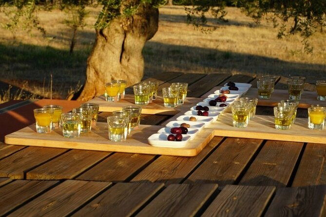 olive-oil-tasting-at-the-mykonian-farm