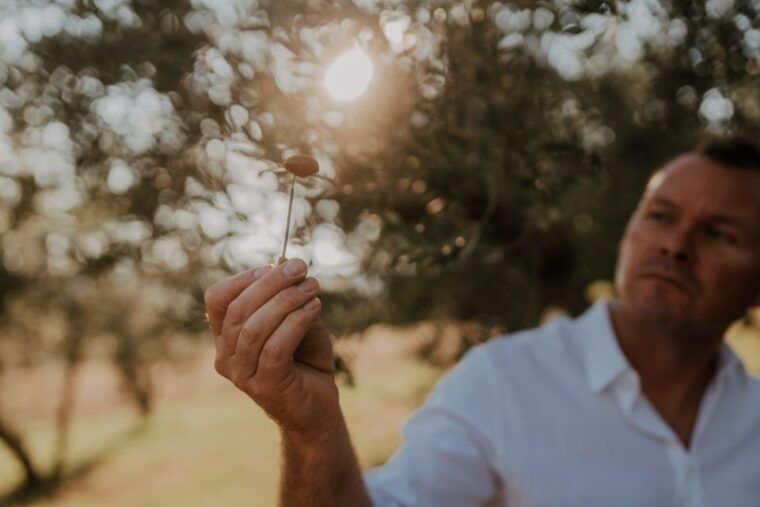 olive-oil-tasting-experience-a-journey-of-flavors-and-aromas