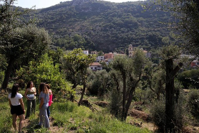 olive-oil-tasting-in-sorrento