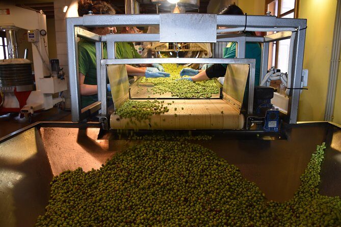 Olive Oil Tasting Tour - Exploring the Itinerary in Detail