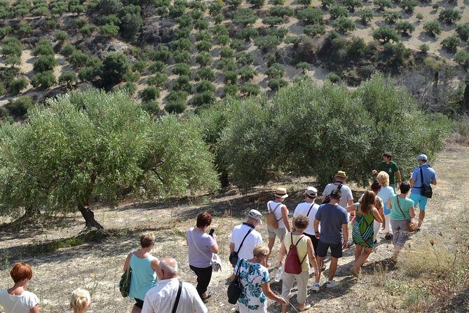 Olive Oil Tasting Tour - Final Thoughts