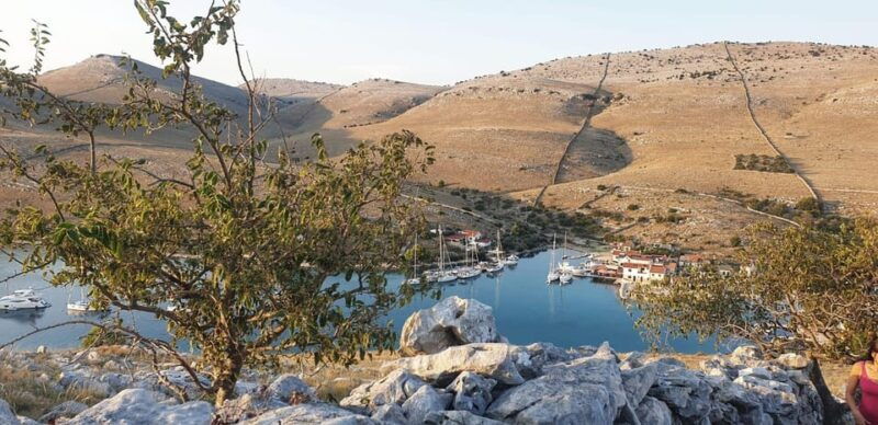 olive-oil-tasting-with-wine-meal-history-kamenjak-np-2