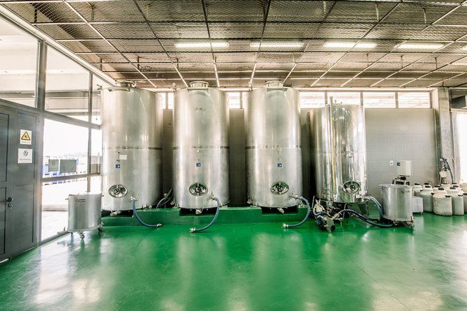 olive-oil-tour-tasting-by-markellos-olive