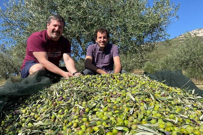 olive-oil-tour-tasting-with-sommelier-kalentzi-athens-daytrip