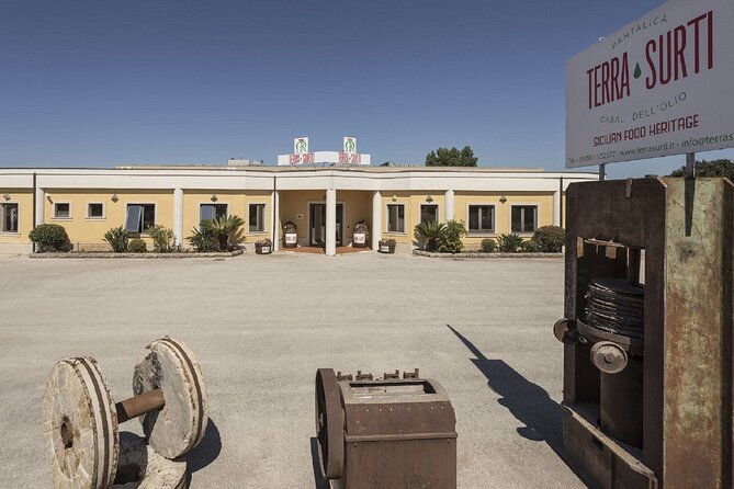 olive-oil-tour-visit-to-the-oil-mill-and-olive-oil-tasting-2