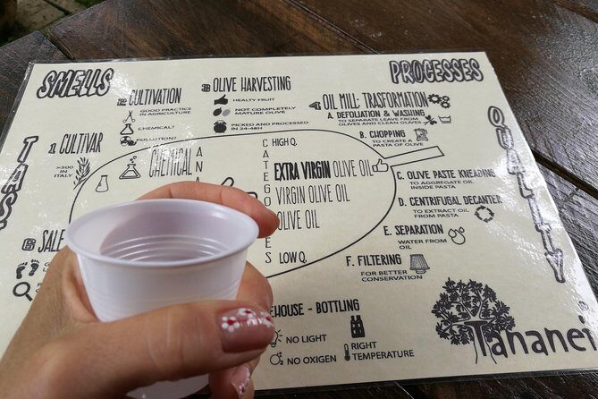 Olive Oil tour with Tuscan dinner - Why This Tour Delivers Great Value  