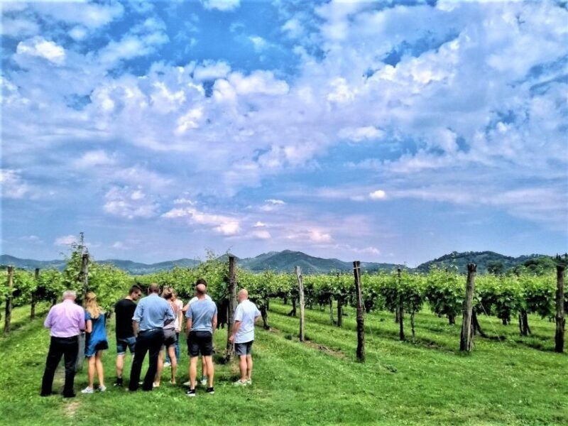 olive-oil-wine-in-the-euganean-hills-from-terme