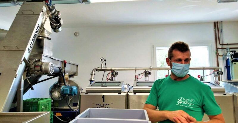 olive-oil-wine-in-the-euganean-hills-from-terme