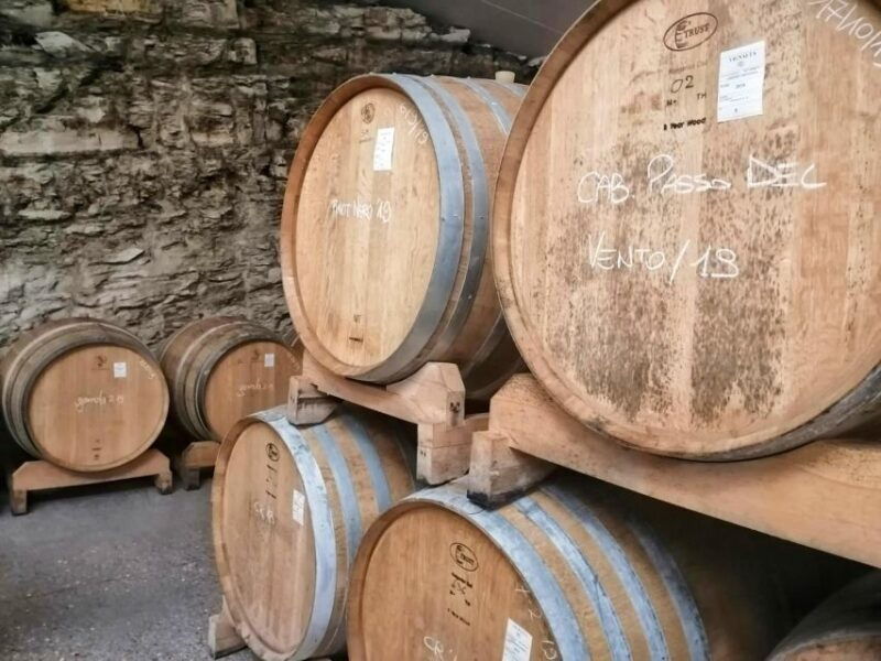 olive-oil-wine-in-the-euganean-hills-from-terme